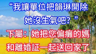 “我讓單位把韻琳開除,她沒生氣吧?”下屬:她把您偏癱的媽和離婚証一起送回家了