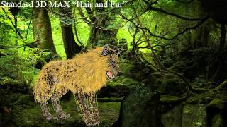 Wolf in 3D MAX