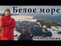 Белое море – Кандалакша – Кольский полуостров. Экспедиция в Кандалакшский заповедник