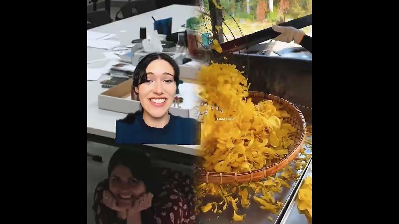 🤣👌😍😜2025 Must-Watch Crazy Clips Compilation |  