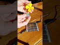 Harnessing Solar Power Through Hands-On Energy Investigations