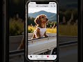 GPT Image2をLovartで使ってInstagram風の動画を作ってみました。