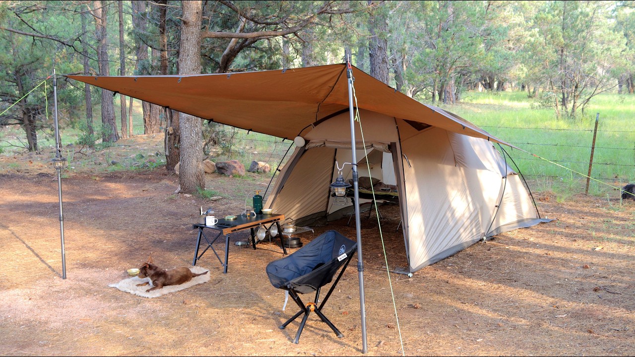 Solo Camping Adventure, Relaxing by the Fields | Nature ASMR