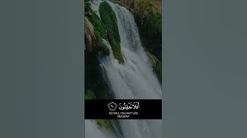 تلاوة من سورة القصص بصوت القارئ هيثم الدخين القرآن الكريم #القرآن_الكريم