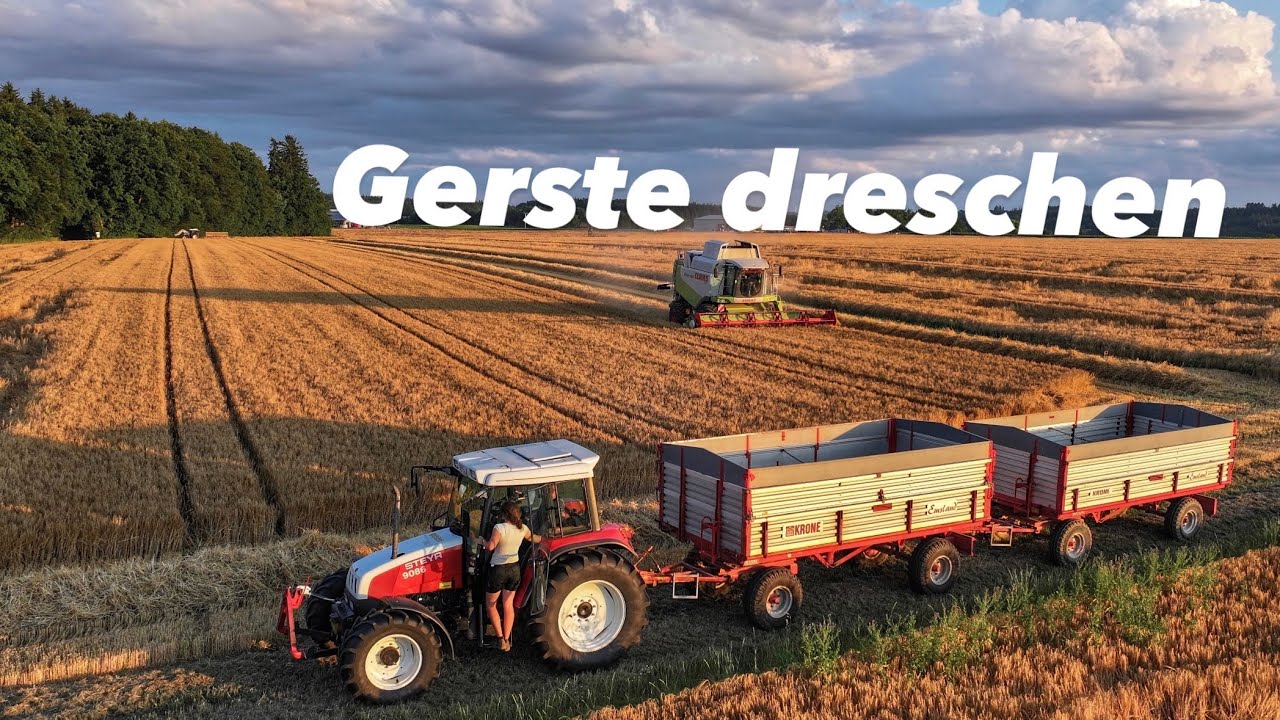 Gerste dreschen | Bauernhofteam | Claas Lexion | Steyr