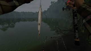 How to catch Red Tail Barracuda I Fishing Planet