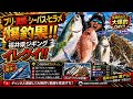 ブリ真鯛シーバスヒラメ爆釣果福井県ジギングtgベイトイレグイ釣り