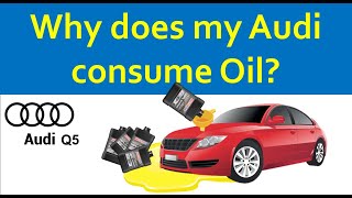 Why my Audi Q5 uses oil  Does anything work