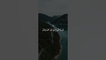 ارح سمعك🎧|تلاوة هادئة وخاشعة ماهر المعيقلي🌱🤍 #تلاوات #قرآن #تلاوة_خاشعة #quran #فولو #ماهر_المعيقلي