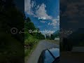 Beautiful Forest Roads #quran #naturegram #relax #therapy