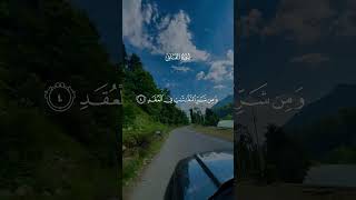 Beautiful Forest Roads #quran #naturegram #relax #therapy