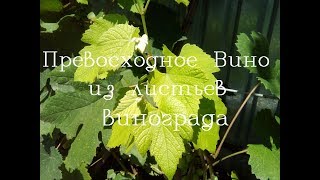 видео Вино из листьев винограда