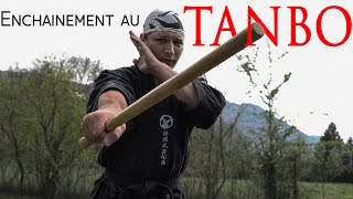 Enchainement technique au TANBO