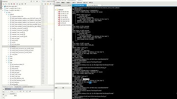 datagrip bug report video