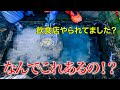 戸建てにグリストラップ!?いやいや飲食店では無いよ?【花のお掃除 #108】