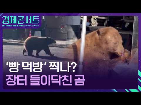 Unfazed by the Crowd… Bear 'Devours Bread' [Economy Concert] / KBS 10/06/2026