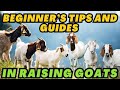 Beginners tips and guides in raising goats