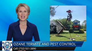 Termite Control Colts Neck NJ 5 Star Review Ozane.com