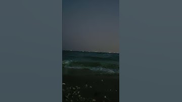القارئ عادل الريان