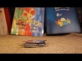End of video