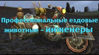 Профессиональные ездовые животные инженеры