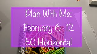 Plan With Me: Erin Condren Horizontal Planner