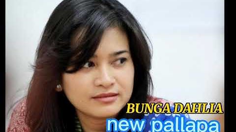 NEW PALLAPA.BUNGA DAHLIA (ikke nurjana)