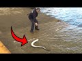 Stone Pier Fishing: Big Conger Eel | Beach Fishing | Floatfishing for Pike