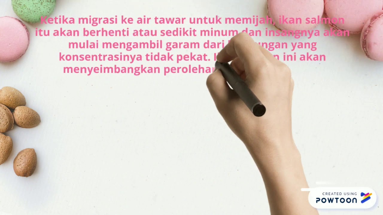 Osmoregulasi, dyah moetiara ansyar ( A1D017063 ) - YouTube Osmoregulasi, dyah moetiara ansyar ( A1D017063 ) - YouTube