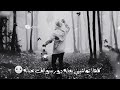 شبيها الوادم خربانه