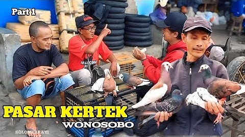 DOLAN PASAR KERTEK WONOSOBO STOK MERPATI GIRINGAN WARNA PLANGKOK PLONTANG MELIMPAH PART 1