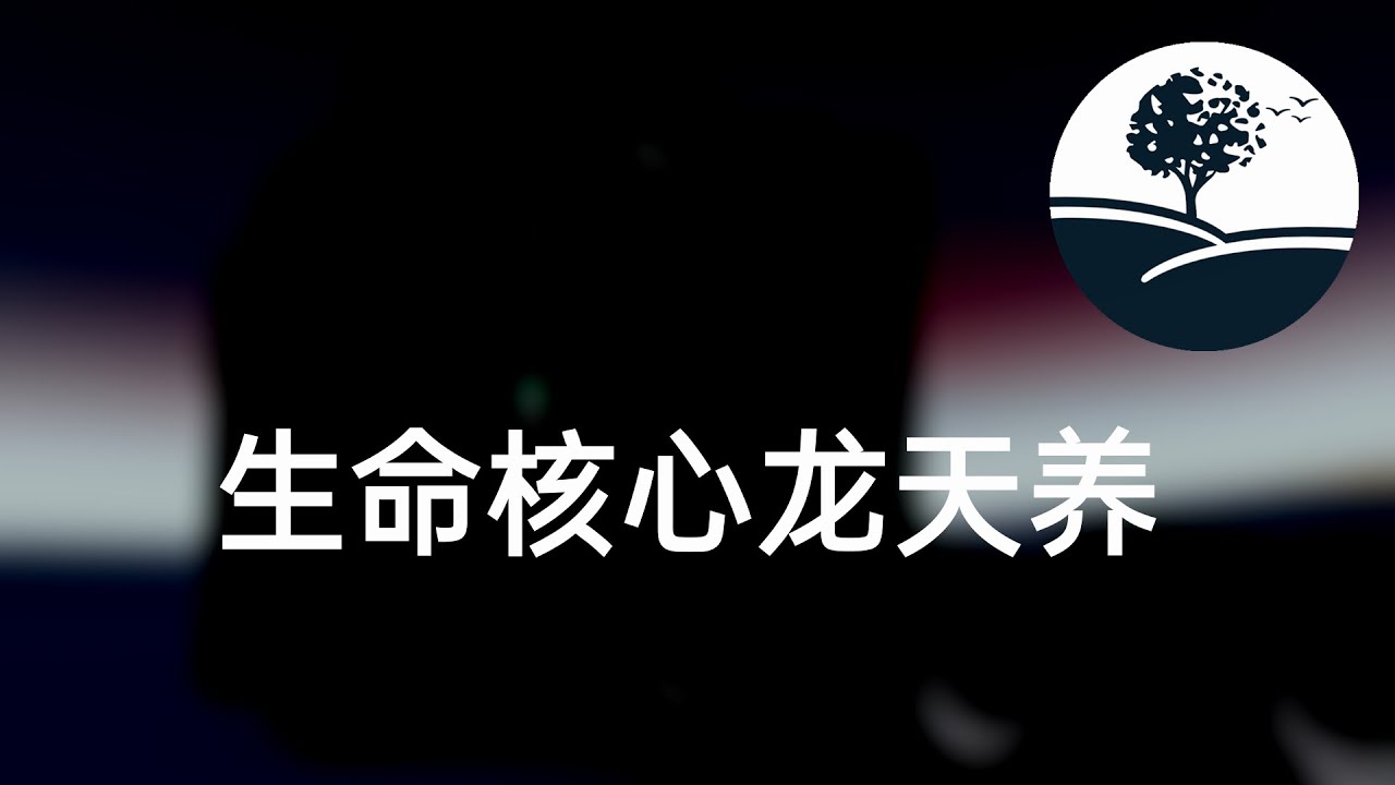【斗罗大陆4】终极斗罗1148：生命核心龙天养｜有声书｜有声小说&广播剧 - YouTube
