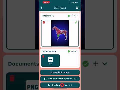 Equigate Pro "How to" - Complete a client report during an appointment
