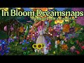 In bloom discord dreamsnaps review part 2