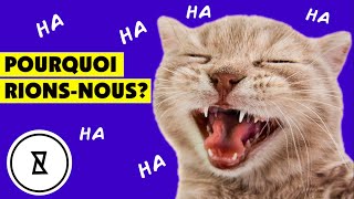 Qu'Est-Ce Qui Nous Fait Rire? | What Makes Us Laugh? | Très Curieux