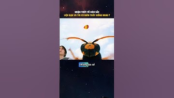 NHẬN THỨC VỀ MÀU SẮC: Liệu bạn và tôi có đang nhùn thấy giống nhau không? #datbiettuot #shorts