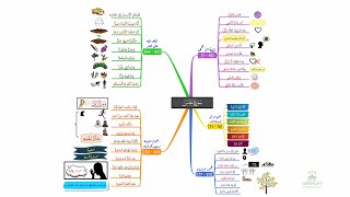 احفظ سورة عبس بالخرائط الذهنية بالتكرار ومع التدبر