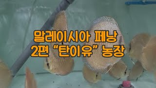 말레이시아 페낭 2편 