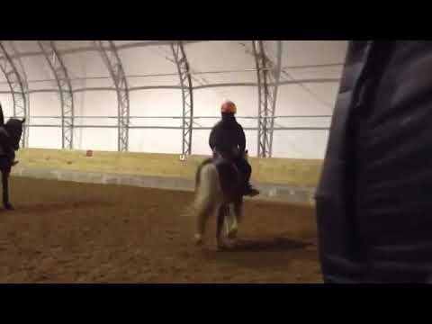 That's what I like-Flo Rida ft. Fitz - YouTube