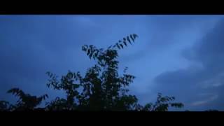 Young Quill - true love... (Dir.AddyGoat)
