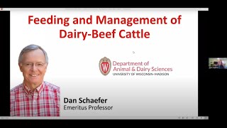 Famous Dan Schaefer: Feeding & Management of Beef on Dairy Xs Wealth