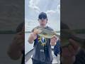 Nick with a bass! #fishingshorts #bassfishing #fishing #largemouthbassfishing #largemouthbass