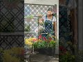 Best Aesthetic Planter Boxes for a Cozy Home 🌿 | Amazon Garden Finds 2026 #amazonfinds #amazon