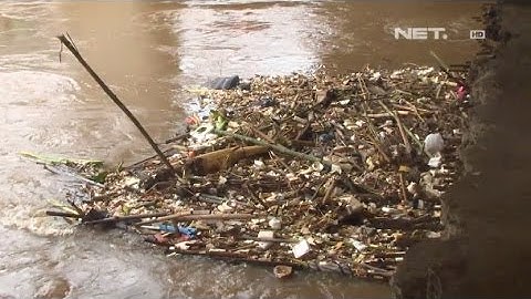 NET24 - Sampah Sisa Banjir Tersangkut di Kolong Jembatan