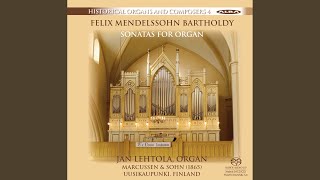 Organ Sonata In C Minor, Op. 65, No. 2, Mwv W57 Ii. Allegro Maestoso E Vivace