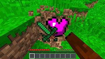 Minecraft Randomizer with LITERALLY every single mod...