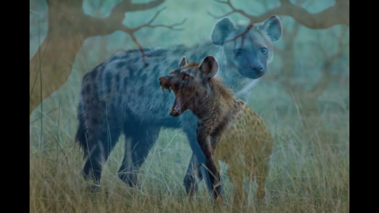 Загадки для дітей 