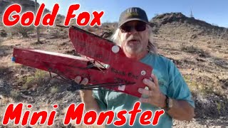 Gold Prospecting  Gold Fox Mini Monster  Testing