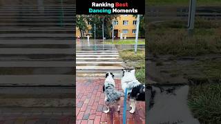 Ranking Best Dancing Dogs Moments 🐶🔥