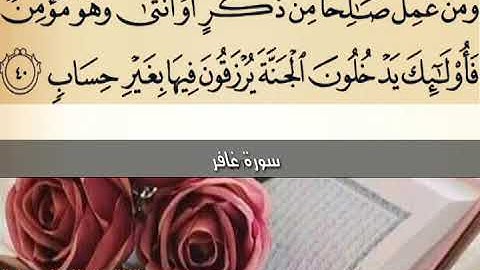 مشاري العفاسي سورة غافر حالات واتس اب